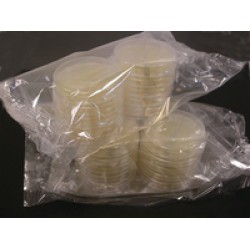 PCA Tlhth Contact 55mm Triple-Wrap 1 * 80 items